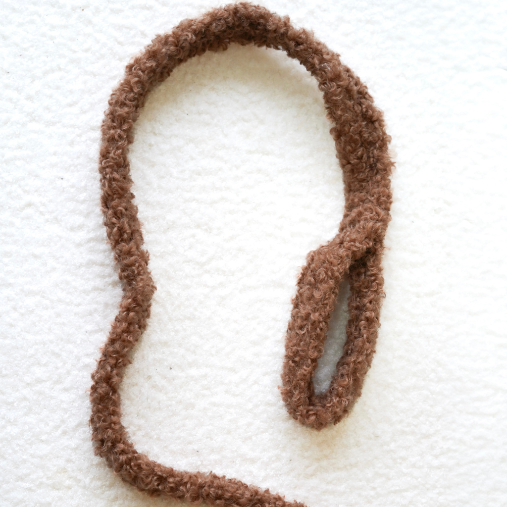 Laisse teddy élégante pour chien