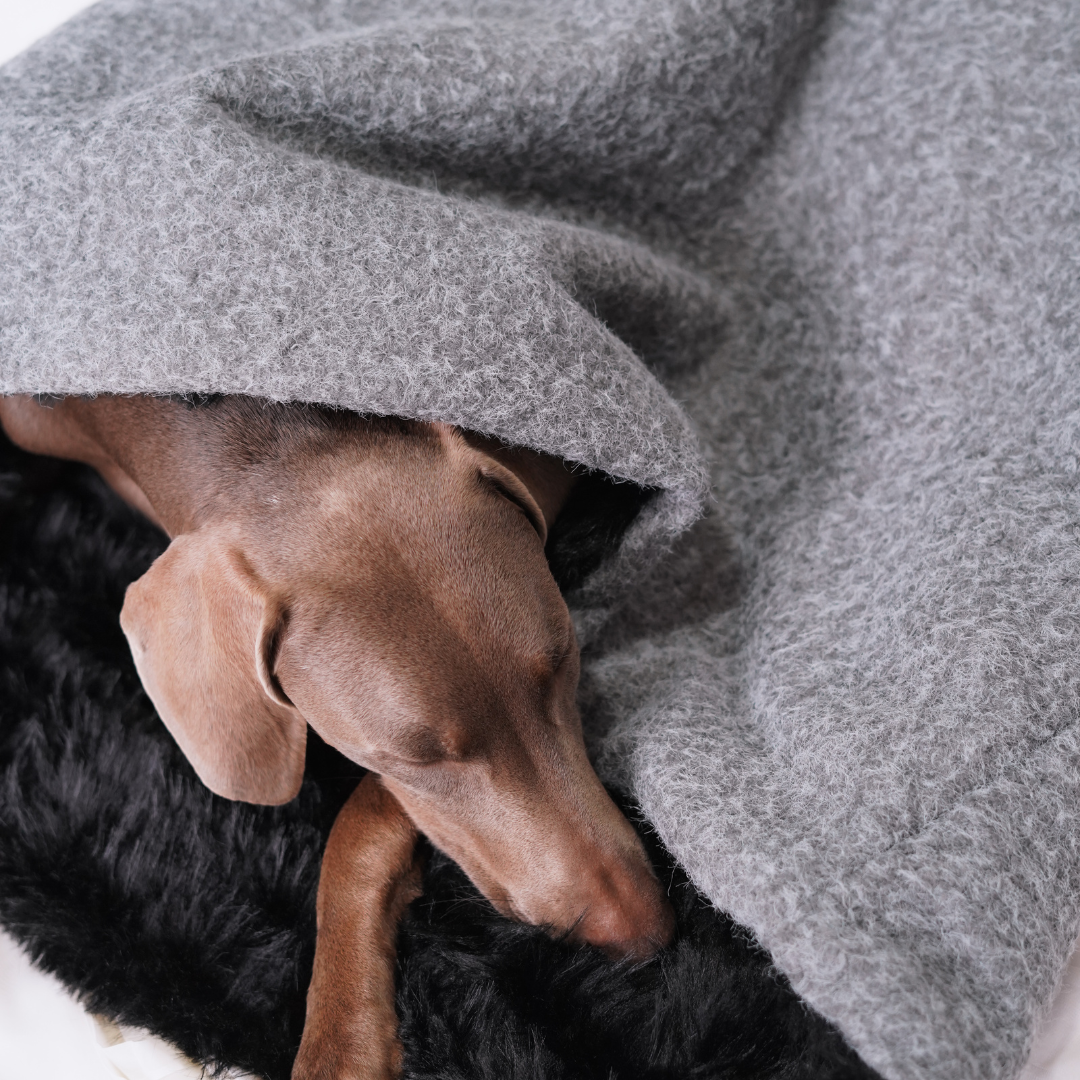 Sac de couchage Cocon pour chien et chat Gris