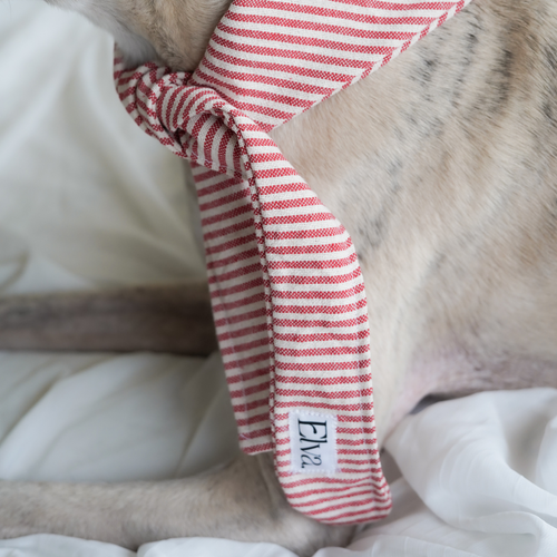 Bandana pour chien en coton français rouge 🇫🇷