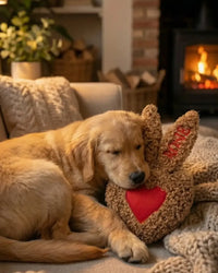 Votre chien se sent rassuré