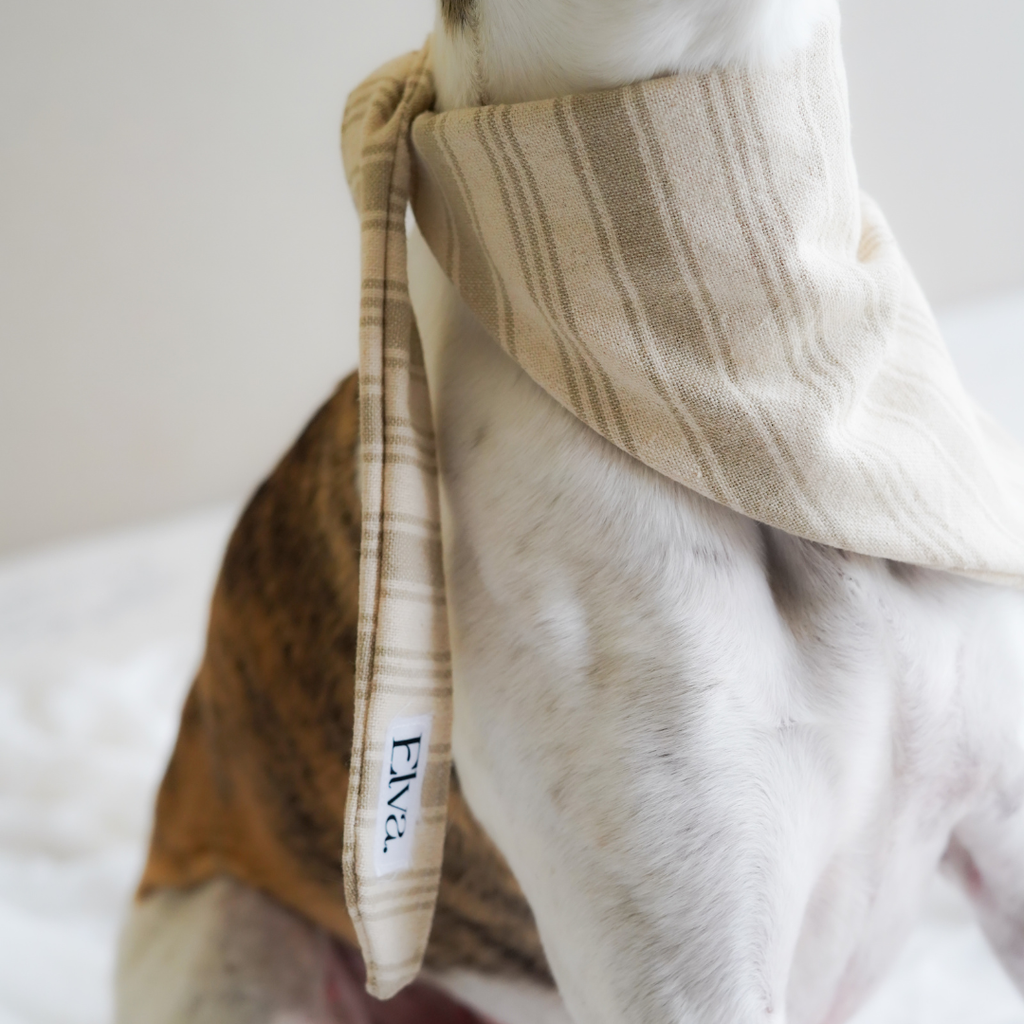 Bandana pour chien en coton français beige