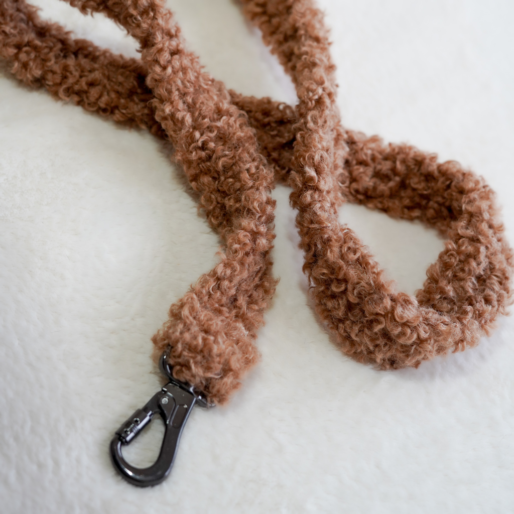 Laisse teddy élégante pour chien