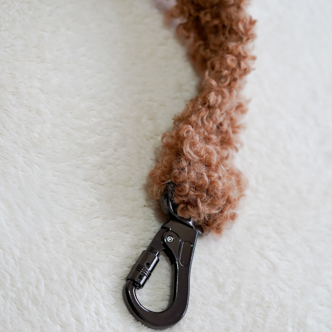 Laisse teddy élégante pour chien