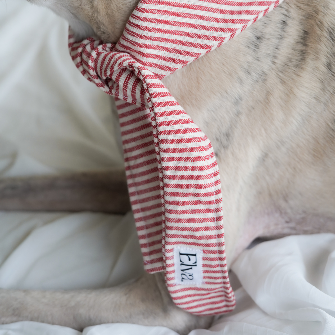 Bandana pour chien en coton français rouge 