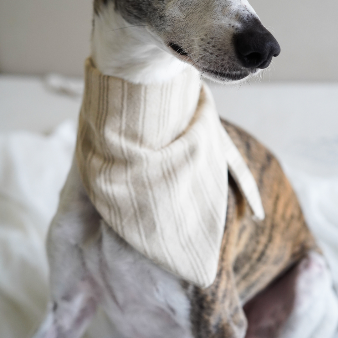 Bandana pour chien en coton français beige