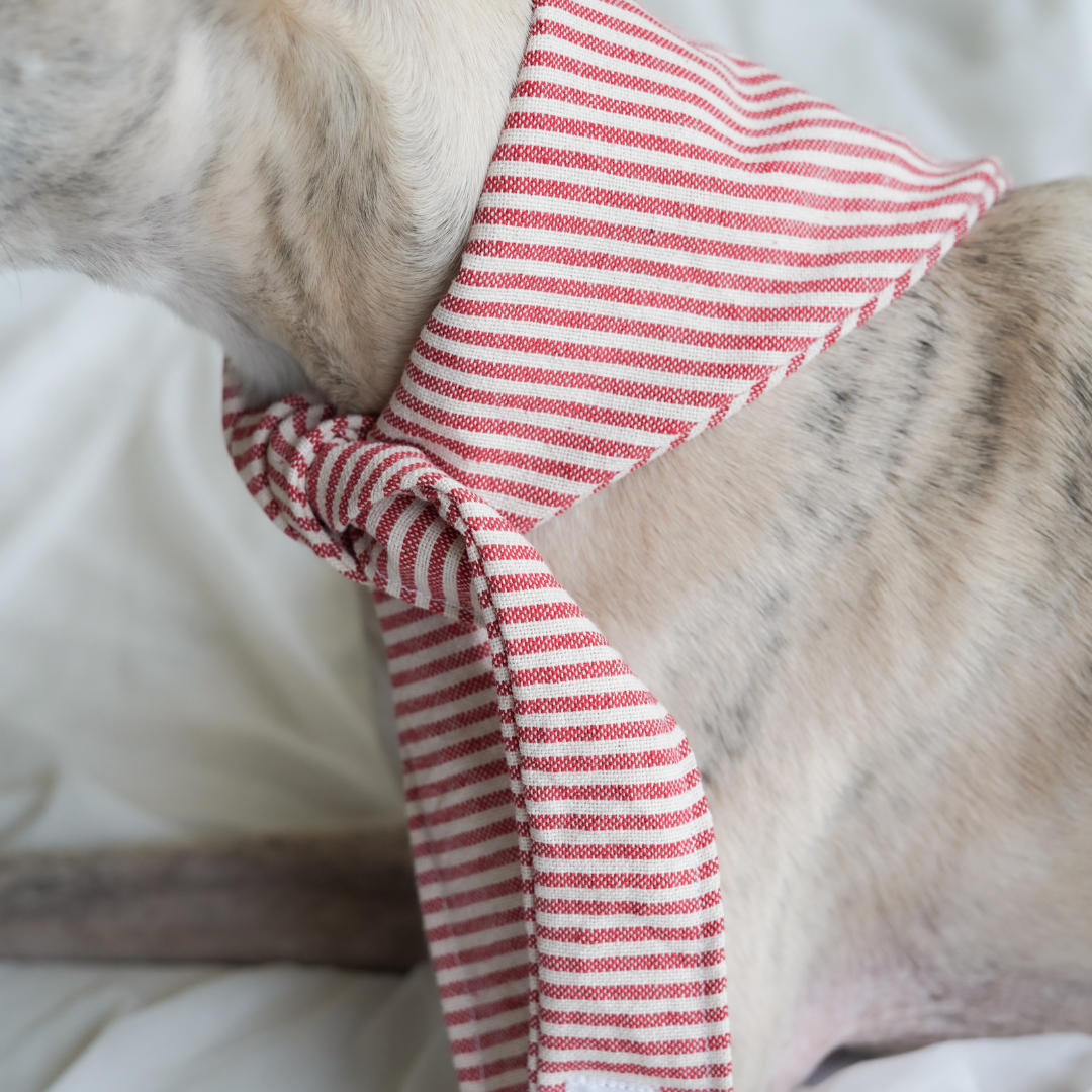 Bandana pour chien en coton français rouge 