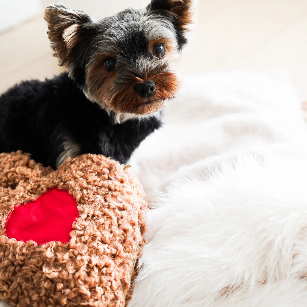 Peluche anti-anxiété pour chien