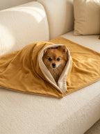 Chien enroulé dans un plaid beige et moutarde doux et respirant pour chien et chat