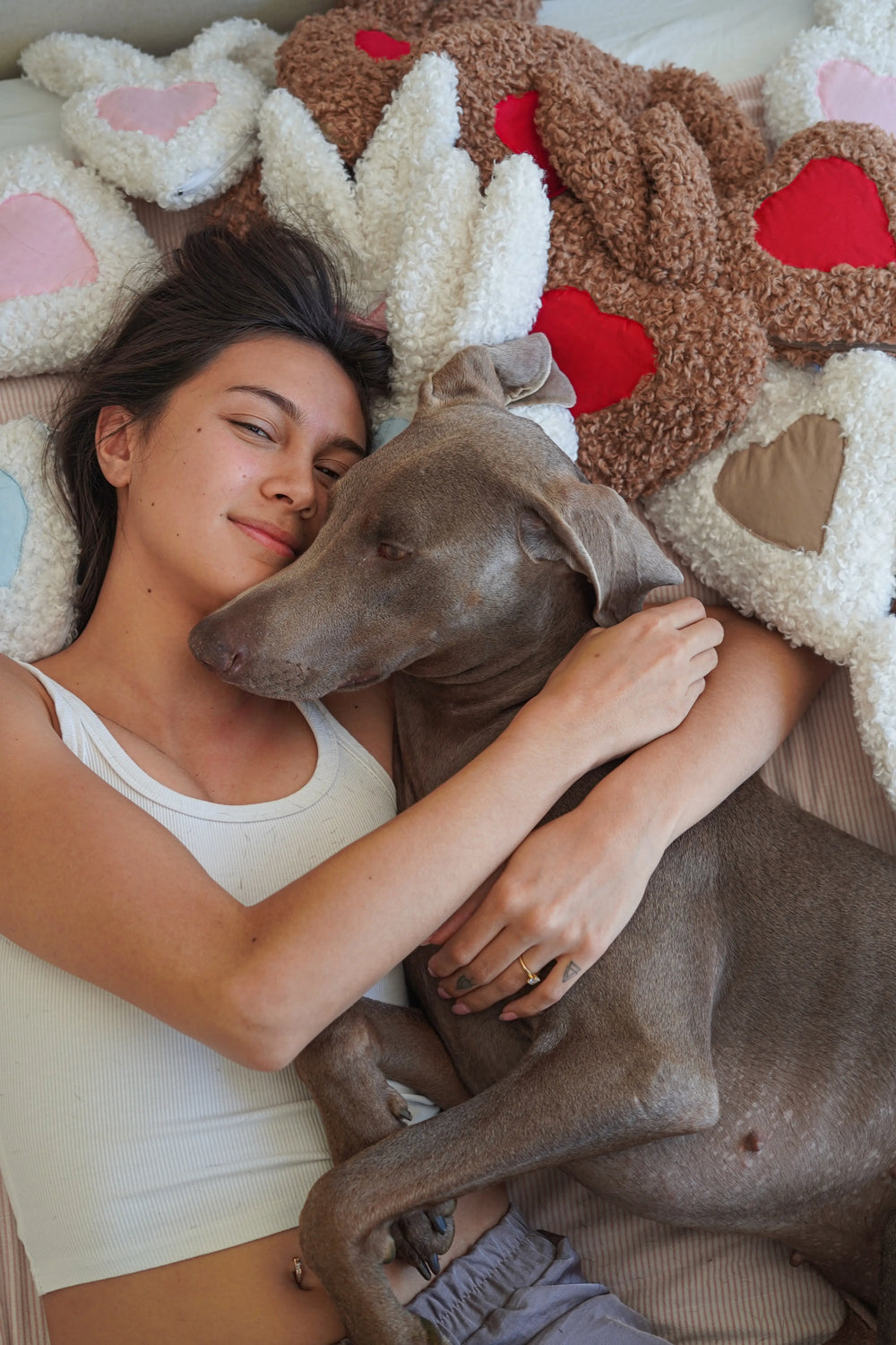 Peluche apaisante Snuggy  pour chien présentés avec un chien et une jeune femme brune