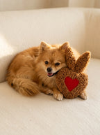 Snuggy - Le doudou qui garde votre odeur pour apaiser votre chien