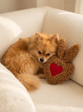 Snuggy - Le doudou qui garde votre odeur pour apaiser votre chien