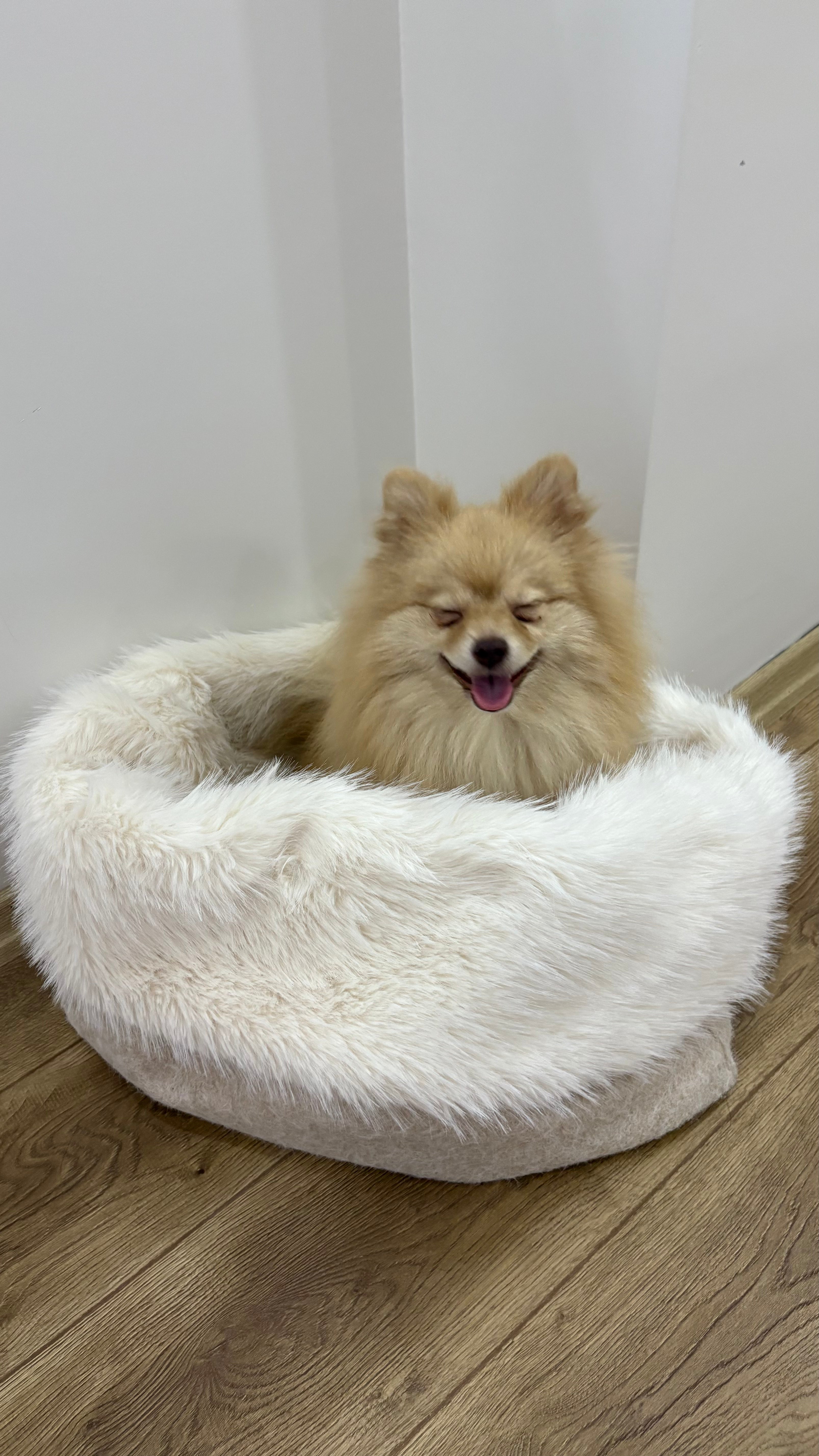 Sac de couchage Gigoteuse pour chien et chat