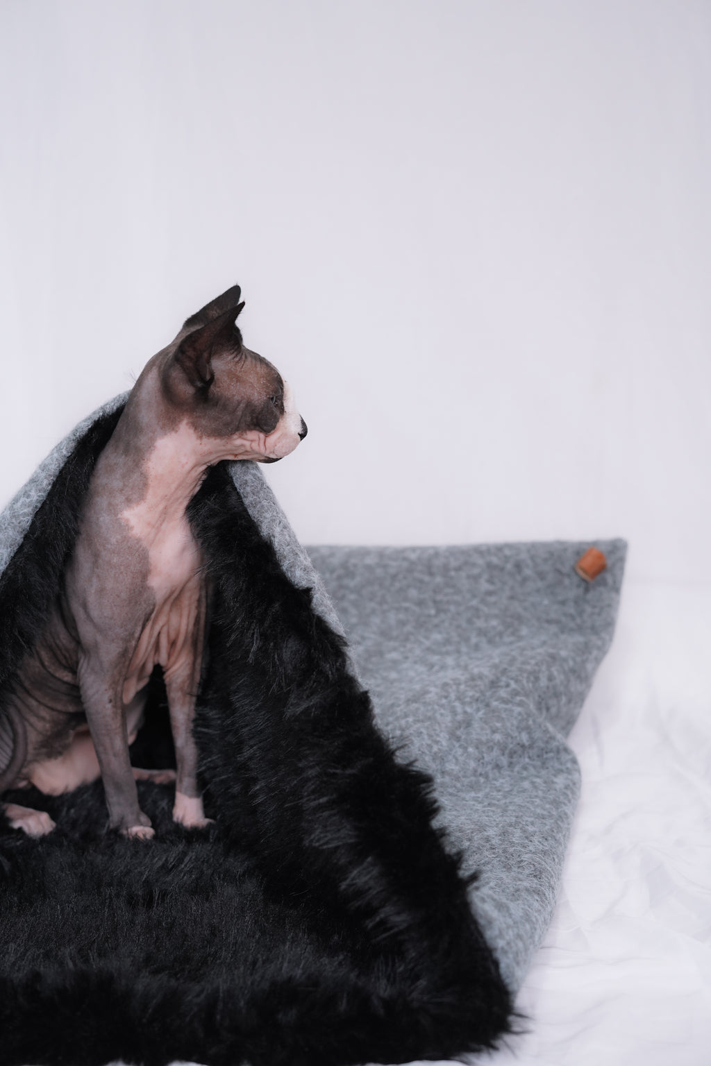 Sac de couchage Gigoteuse pour chien et chat