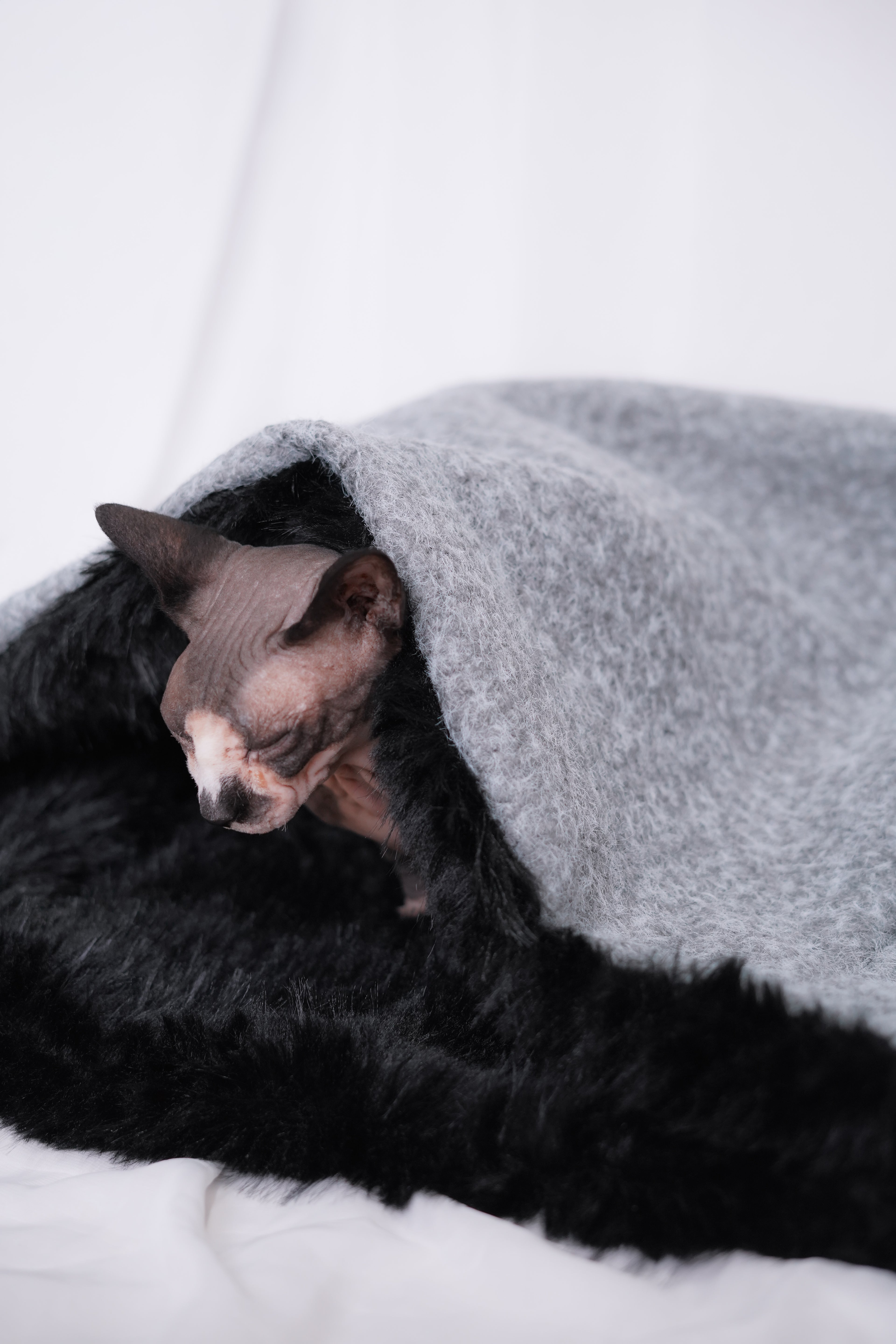 Sac de couchage Gigoteuse pour chien et chat