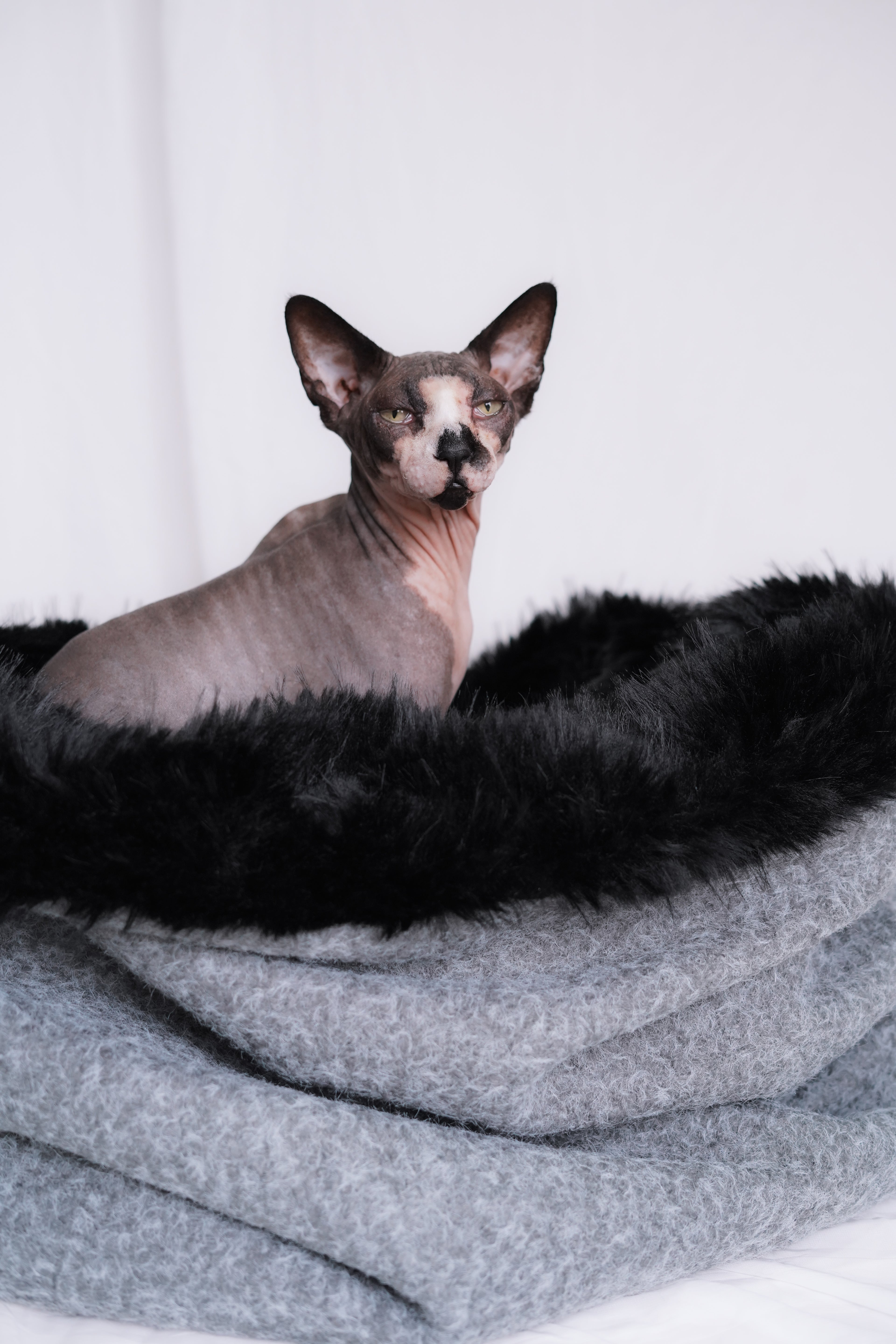 Sac de couchage Gigoteuse pour chien et chat