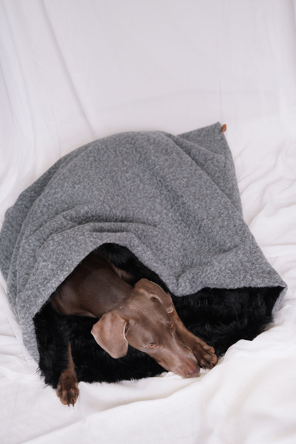 Sac de couchage Gigoteuse pour chien et chat