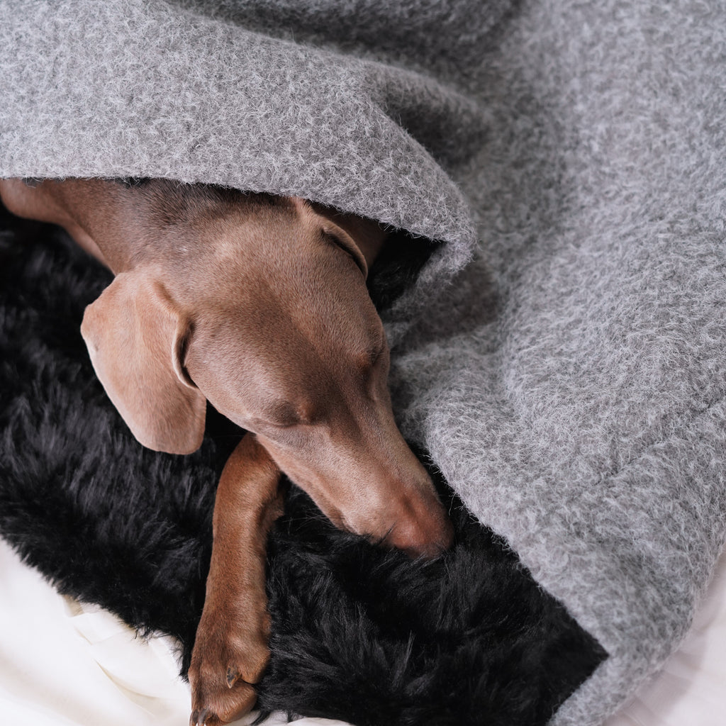 Sac de couchage Gigoteuse pour chien et chat