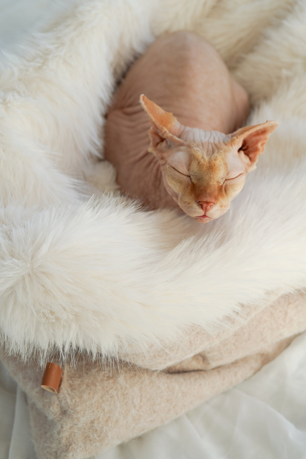 Sac de couchage Gigoteuse pour chien et chat