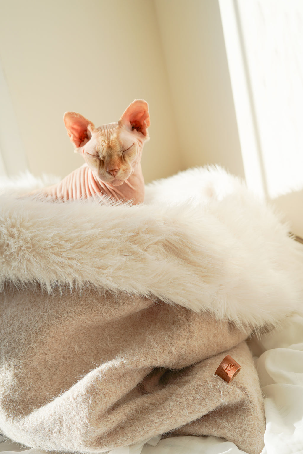 Sac de couchage Gigoteuse pour chien et chat