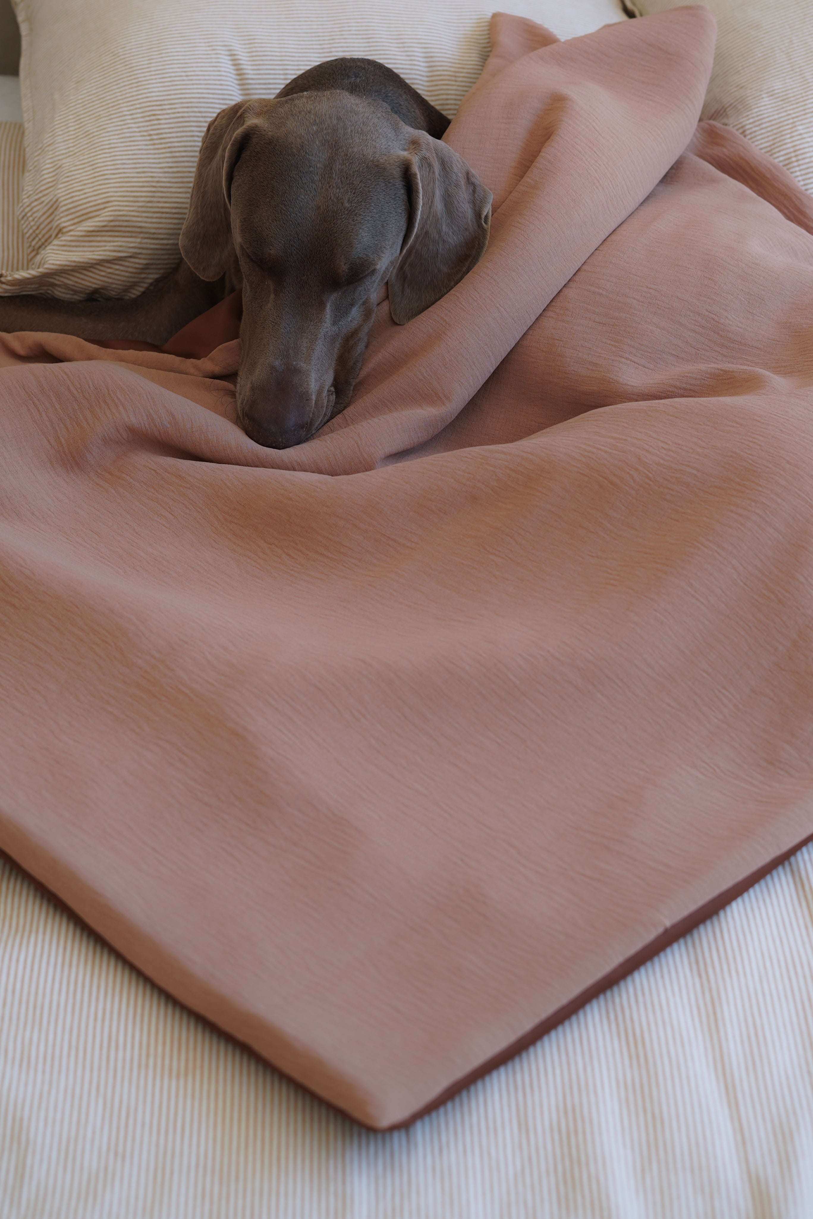 Plaid Été pour chien et chat — Marron/Gris/Moutarde