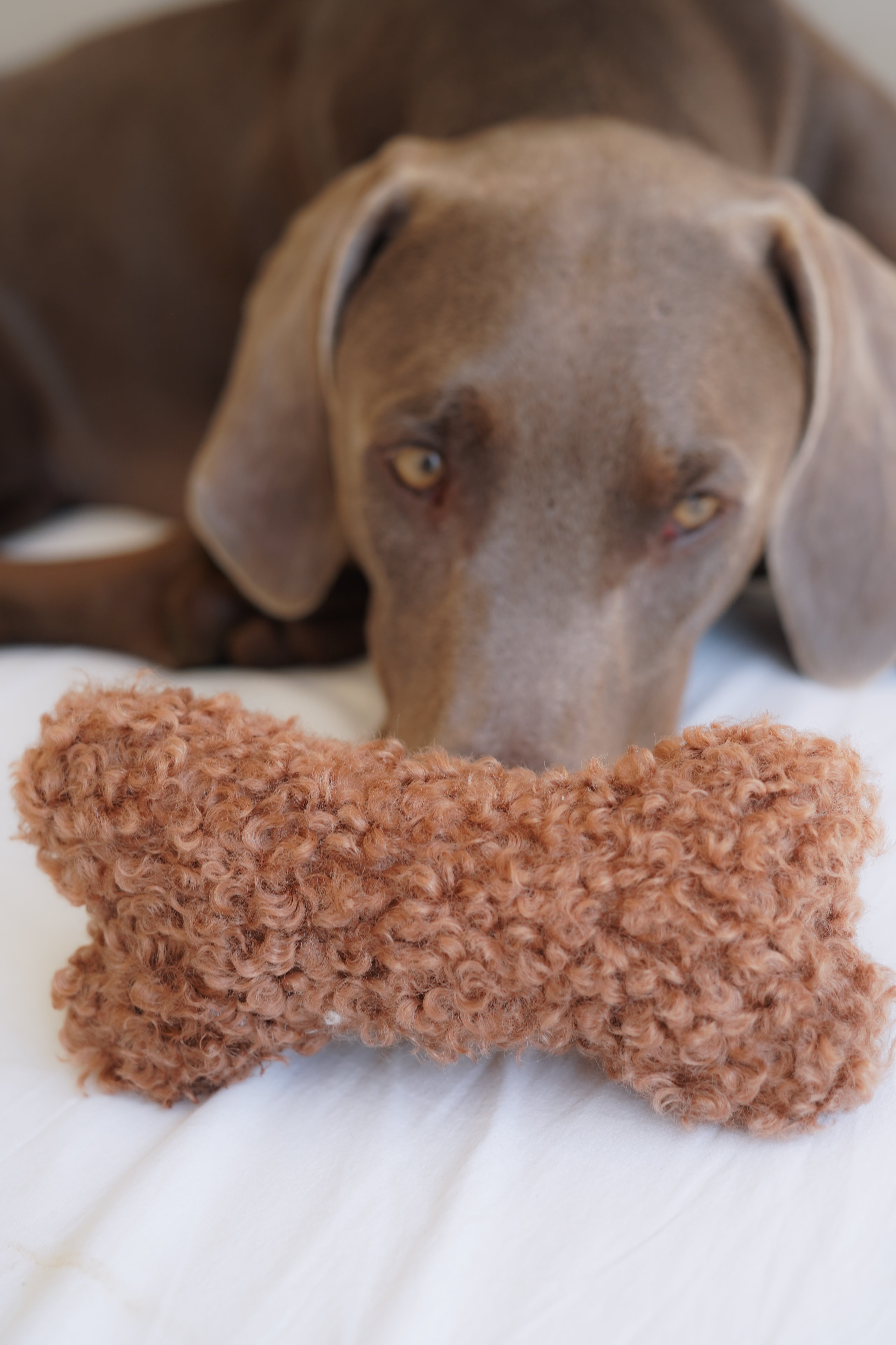 Doudou os teddy fluffy pour chien