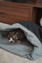 Sac de couchage Cocon été pour chien et chat Gris
