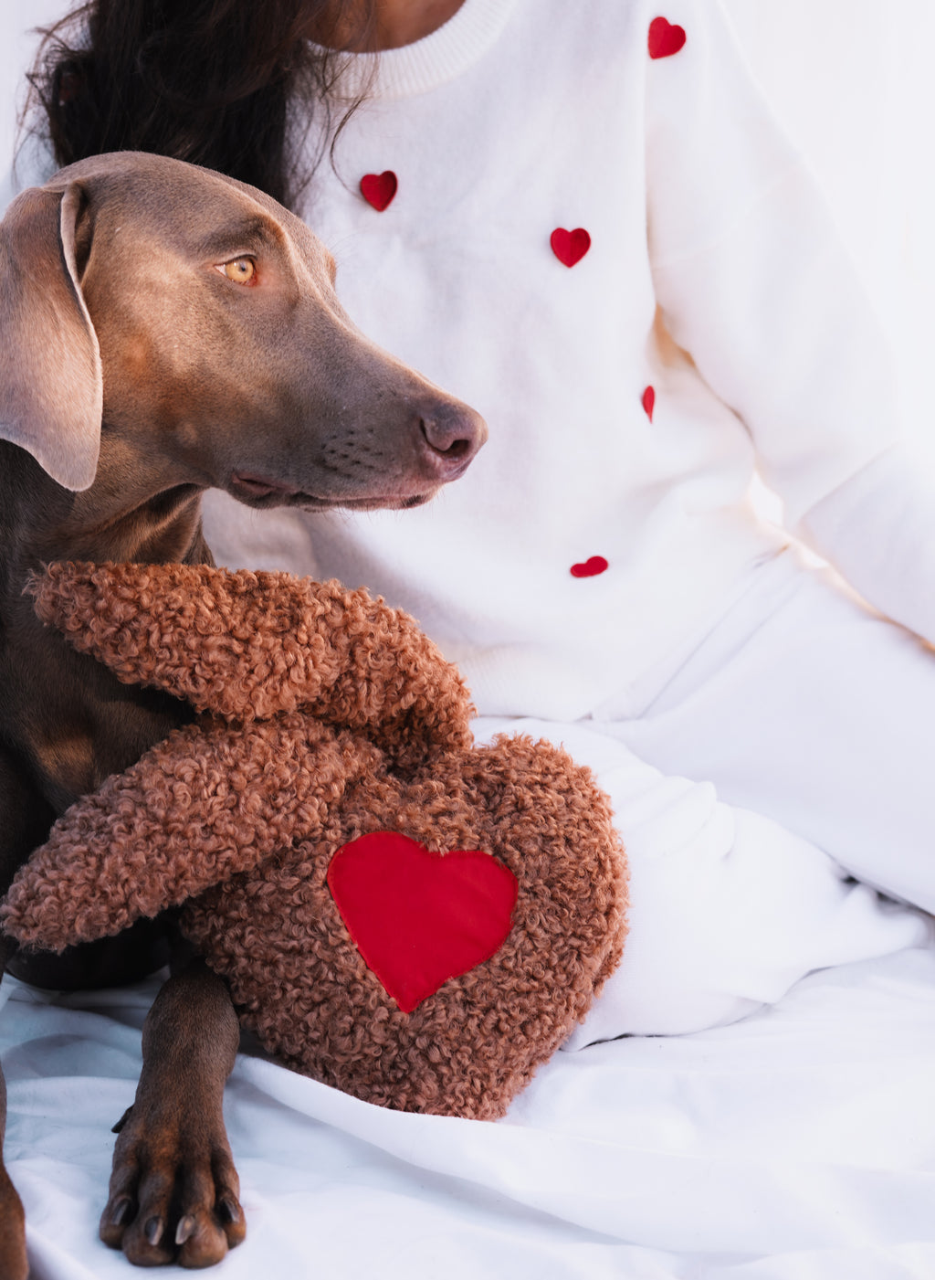 Doudou olfactif pour chien