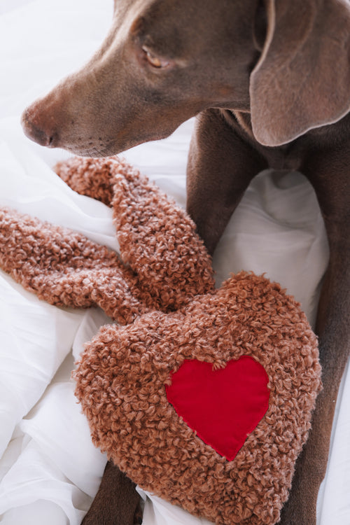 Doudou olfactif pour chien