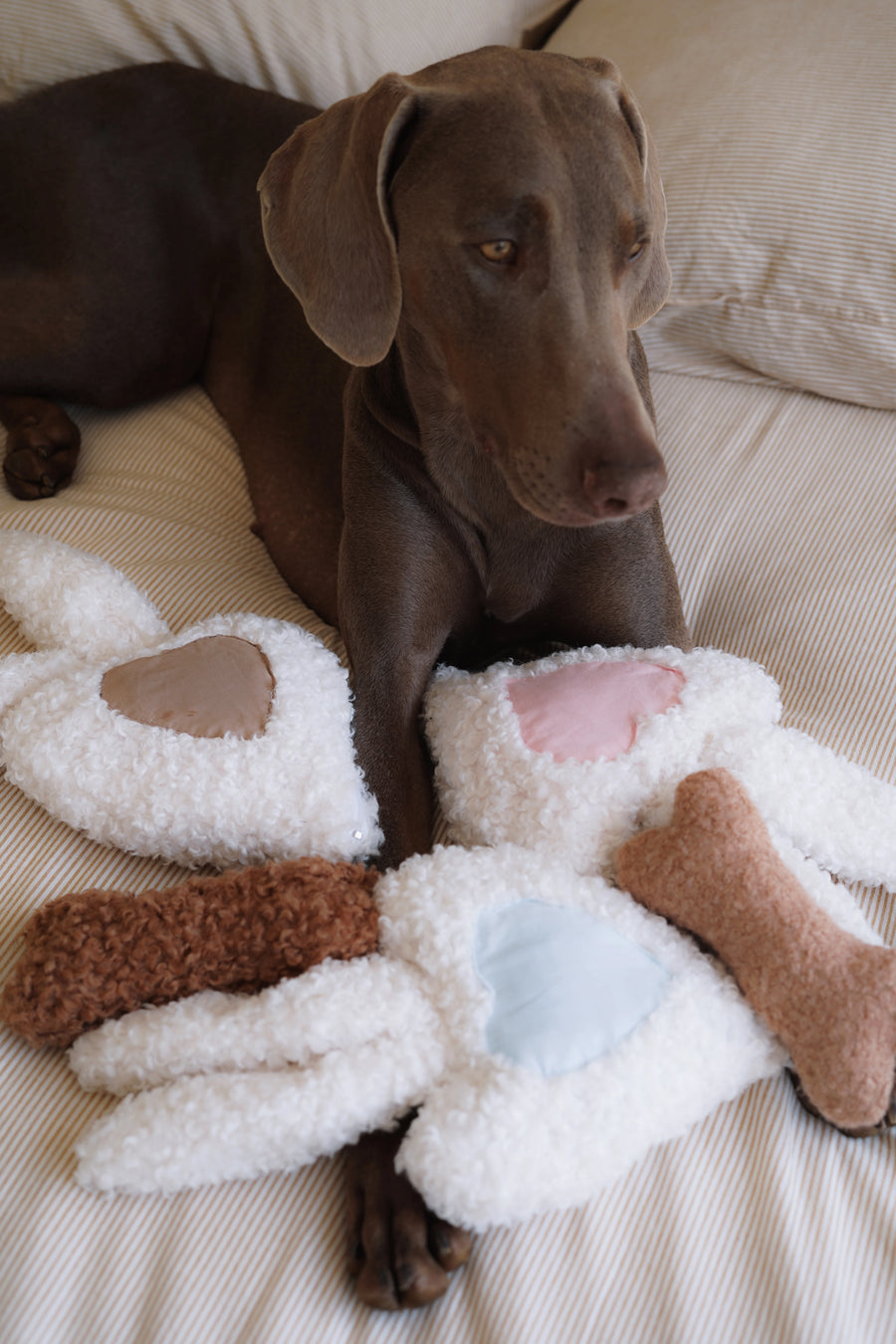 Peluche apaisante Snuggy et doudou DoudOs pour chien présentés avec un chien
