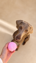 Lots de 3 Balles pour chien roses