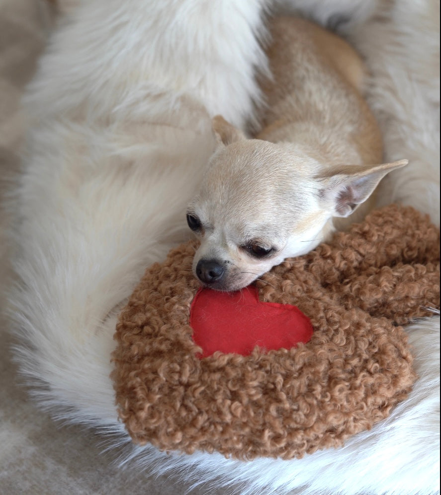 chien dormant avec sa peluche en étant totalement apaisé