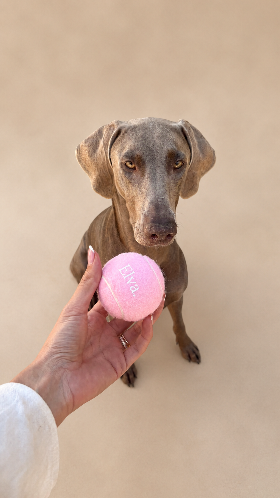 Lots de 3 Balles pour chien roses
