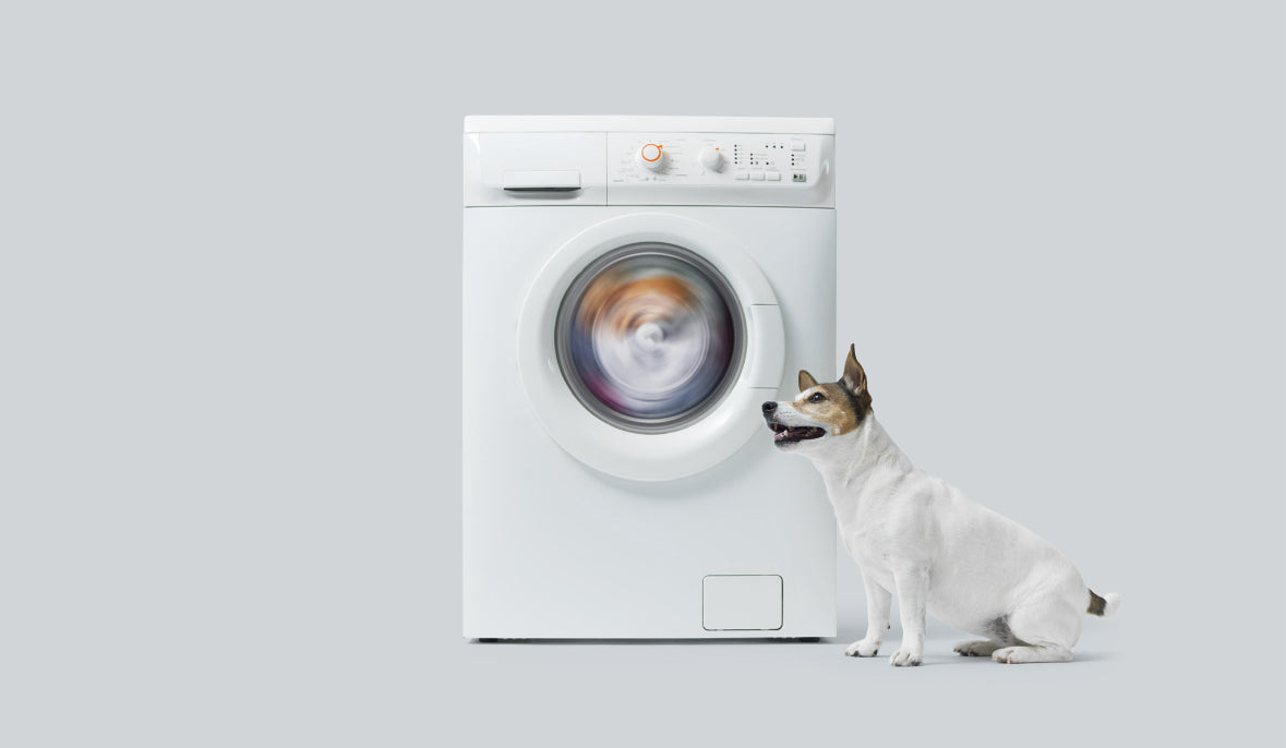 Machine à laver pratique et adaptée pour entretenir les accessoires pour animaux : coussins, paniers, peluches et textiles pour chiens et chats. Lavage facile, programme délicat recommandé, matériaux durables et doux pour le confort de vos animaux.