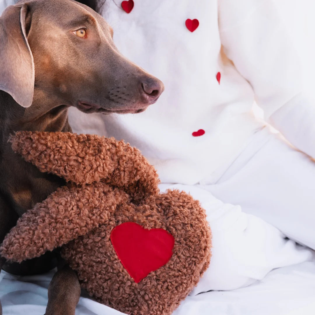 Peluche anti-anxiété pour grand chien