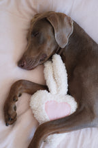 Snuggy - Le doudou qui garde votre odeur pour apaiser votre chien