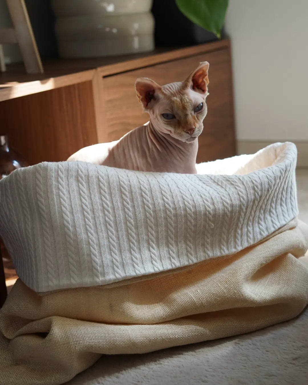 sac de couchage cocon été pour chat et chien beige et blanc