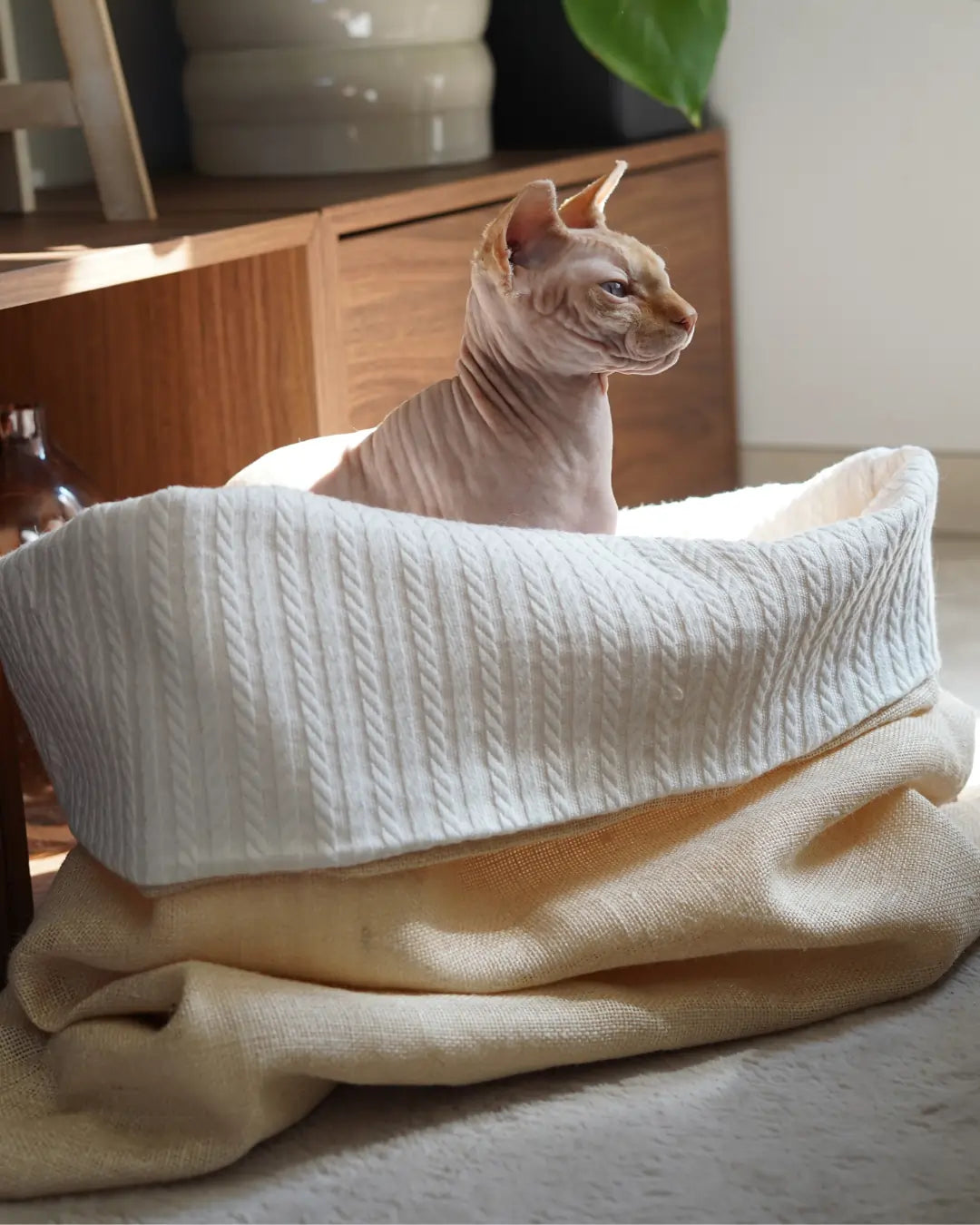 sac de couchage pour chien et chat avec jute et coton